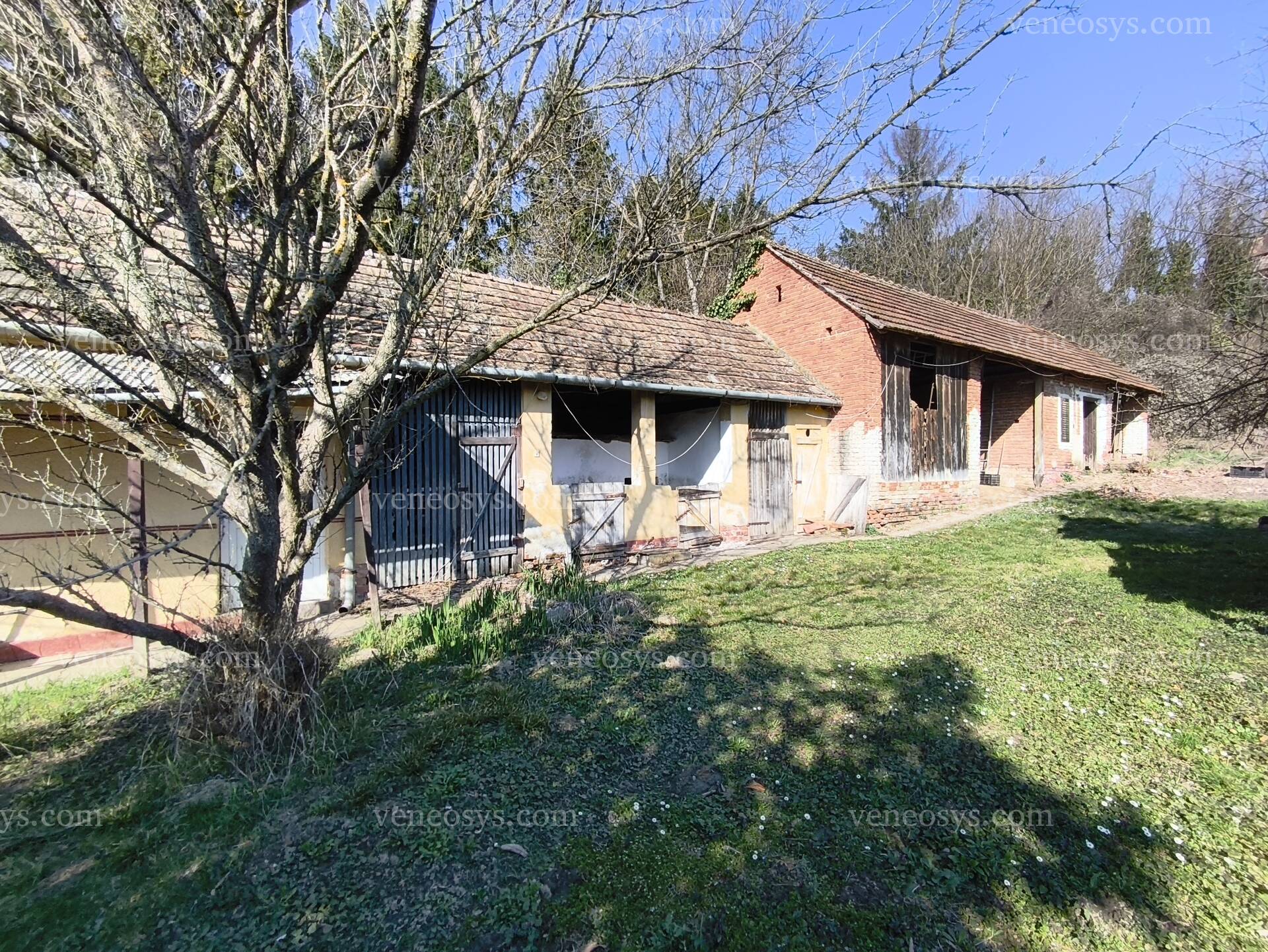 Kép 18
