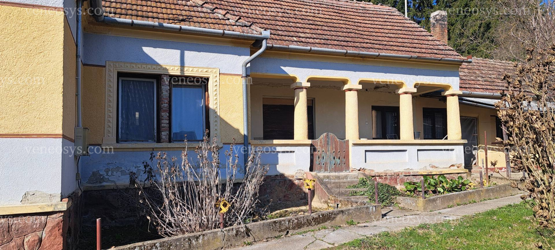 Kép 13