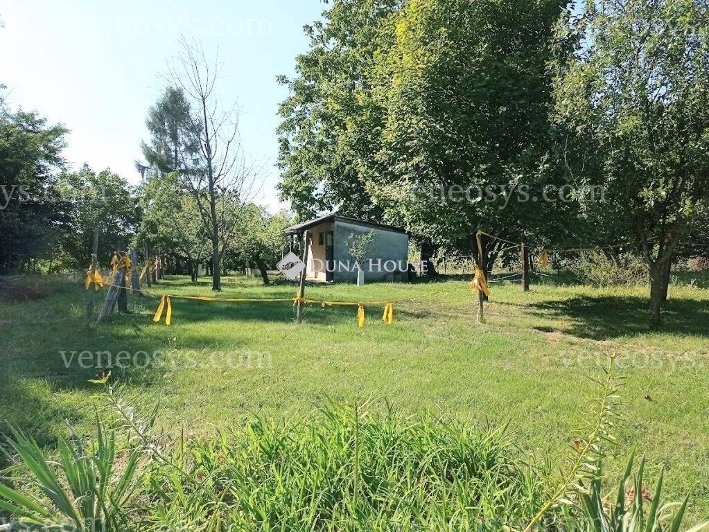 Kép 7