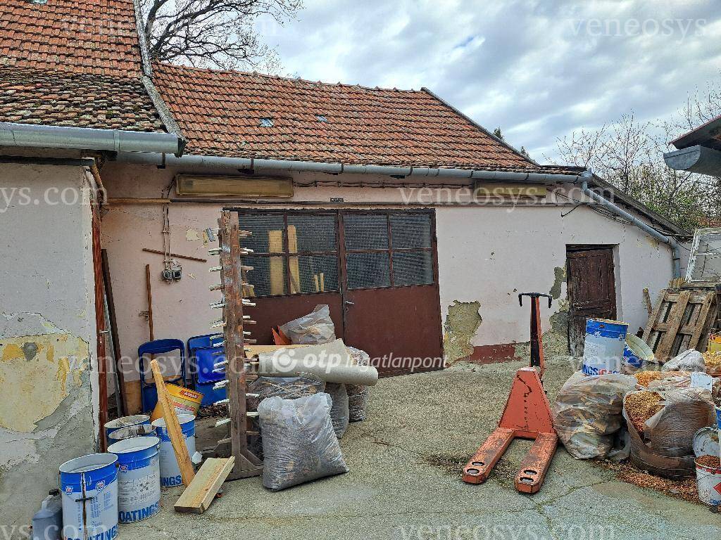 Kép 25