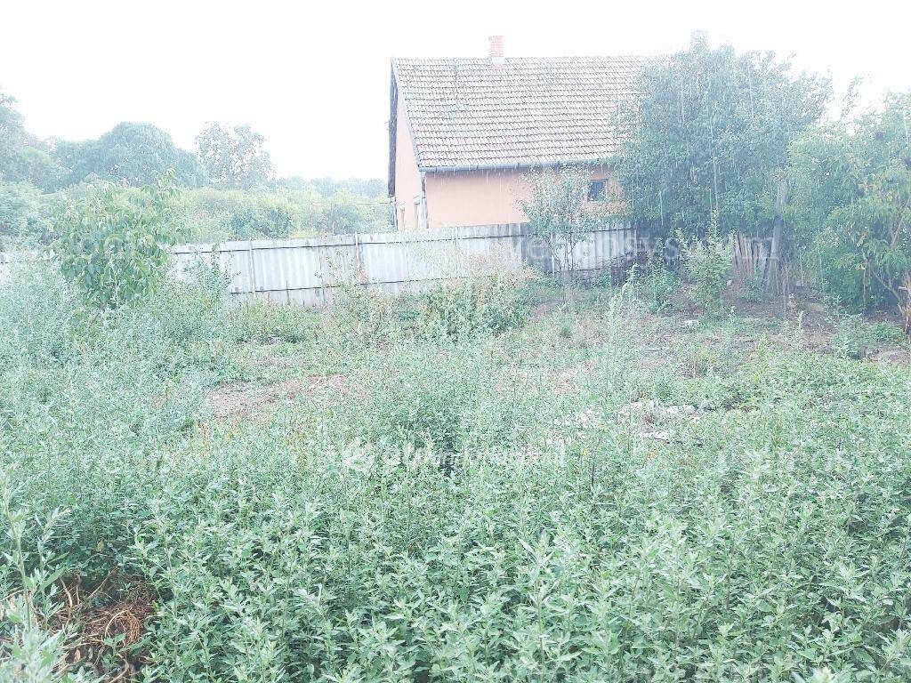 Kép 15