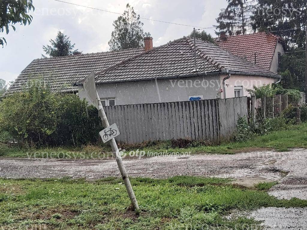 Kép 3