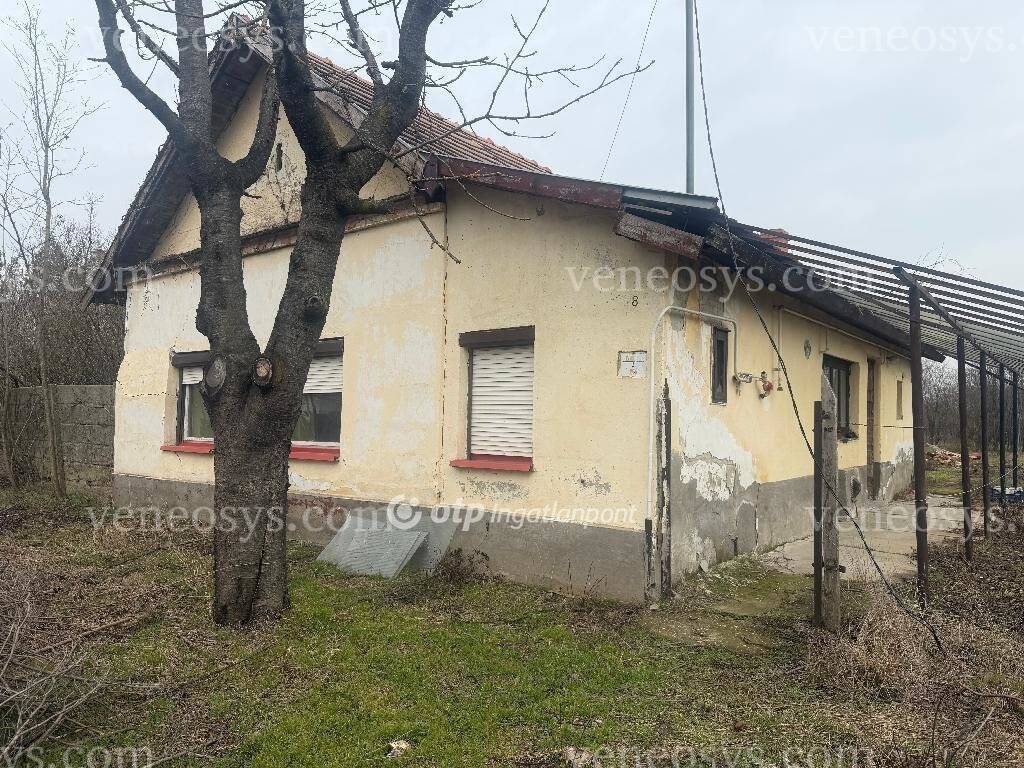 Kép 9