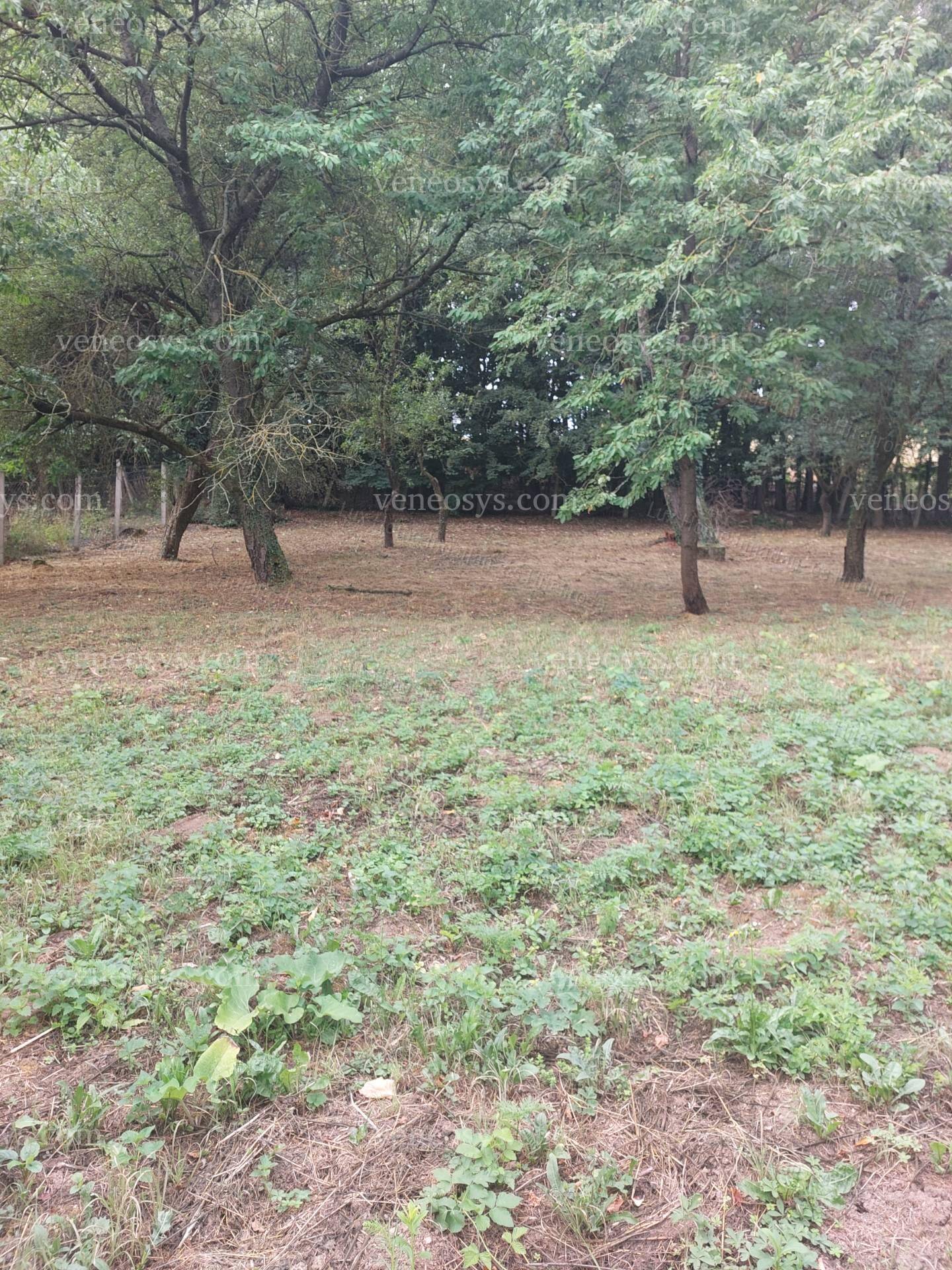 Ingatlan
