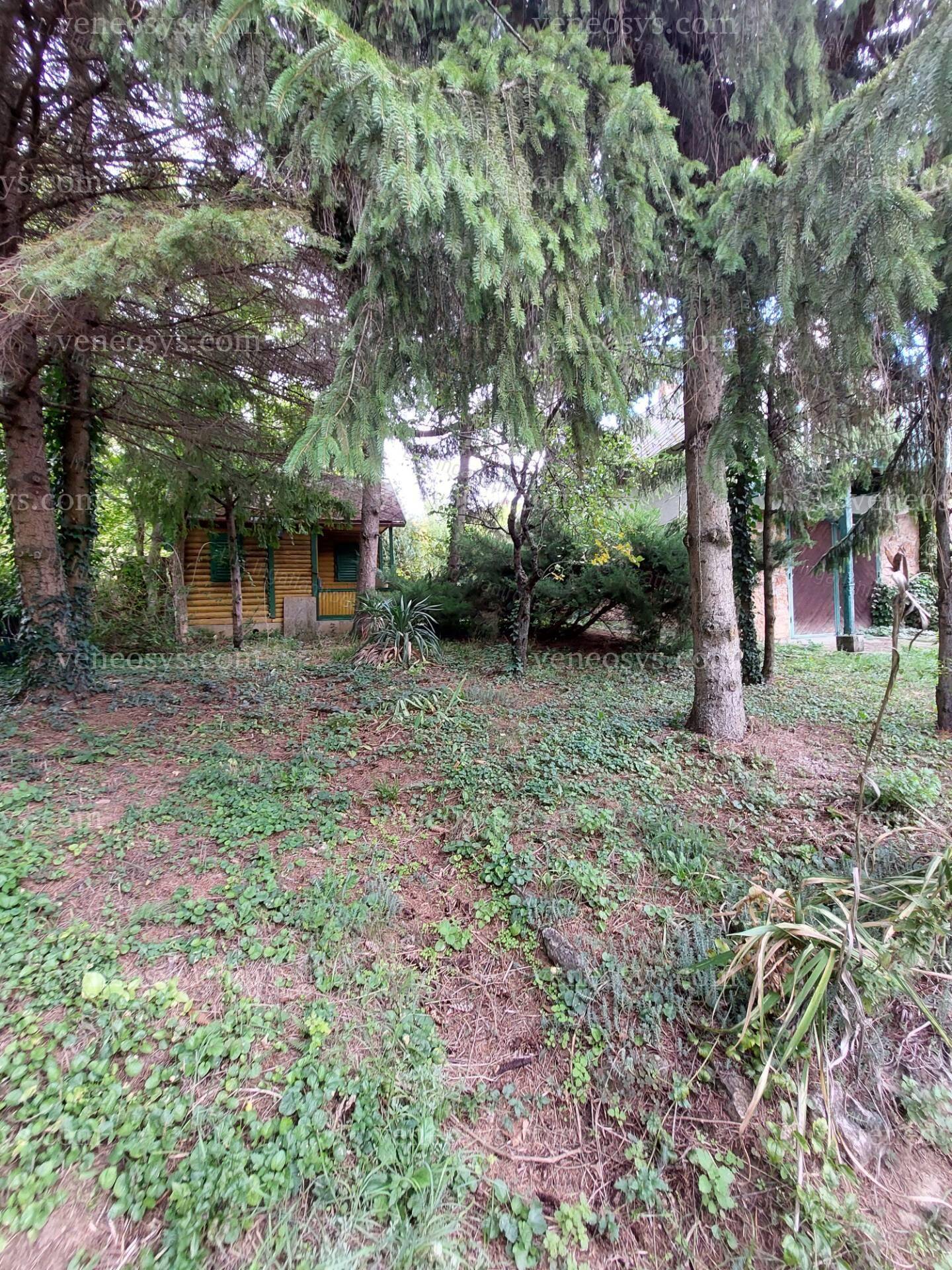 Kép 16