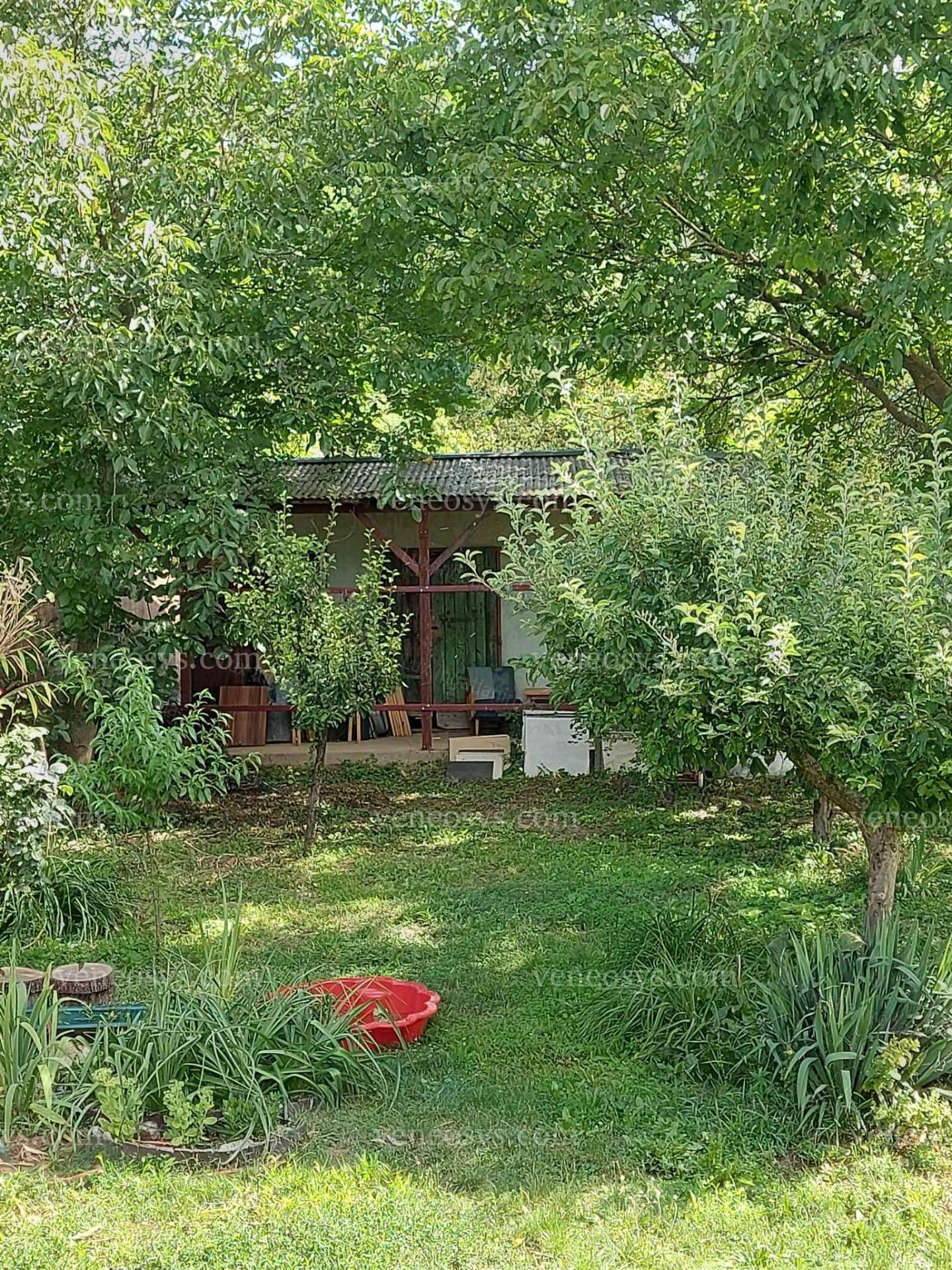 Kép 5