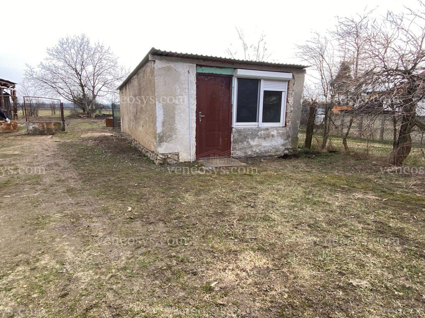 Kép 4