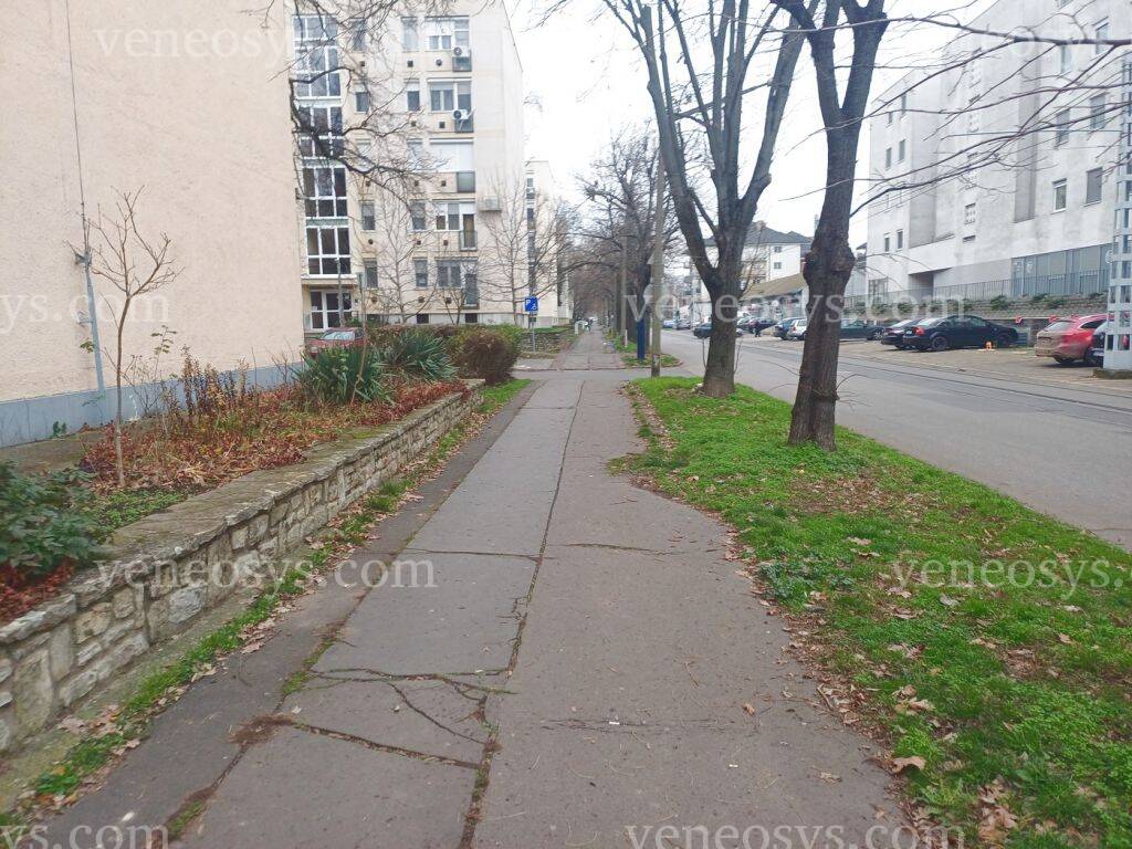 Kép 10