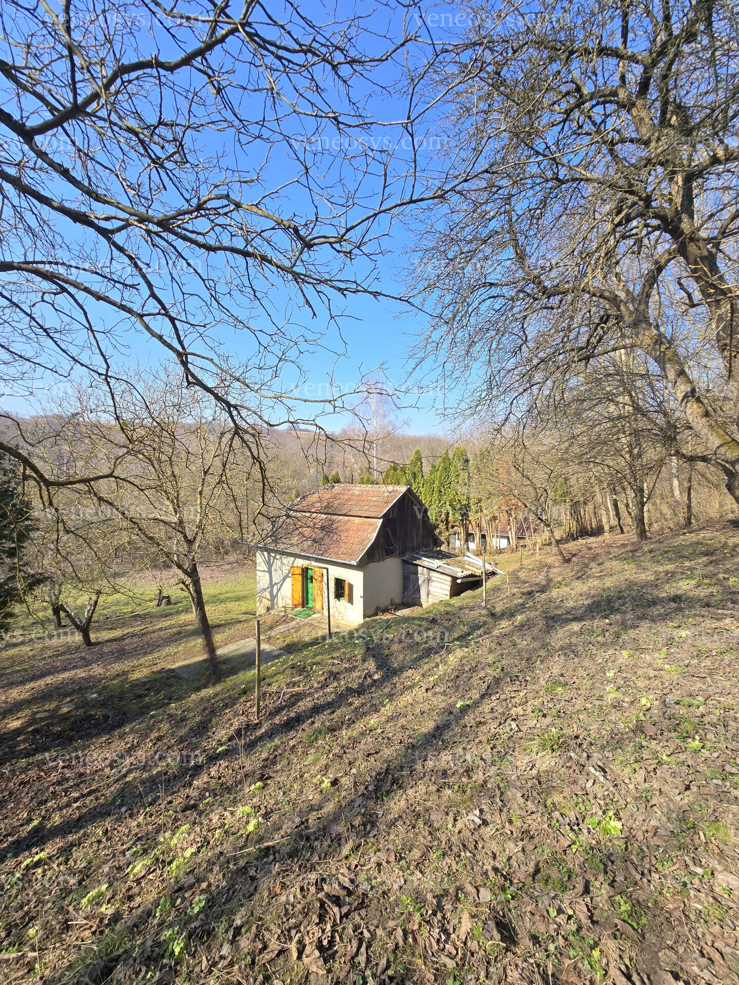 Kép 3