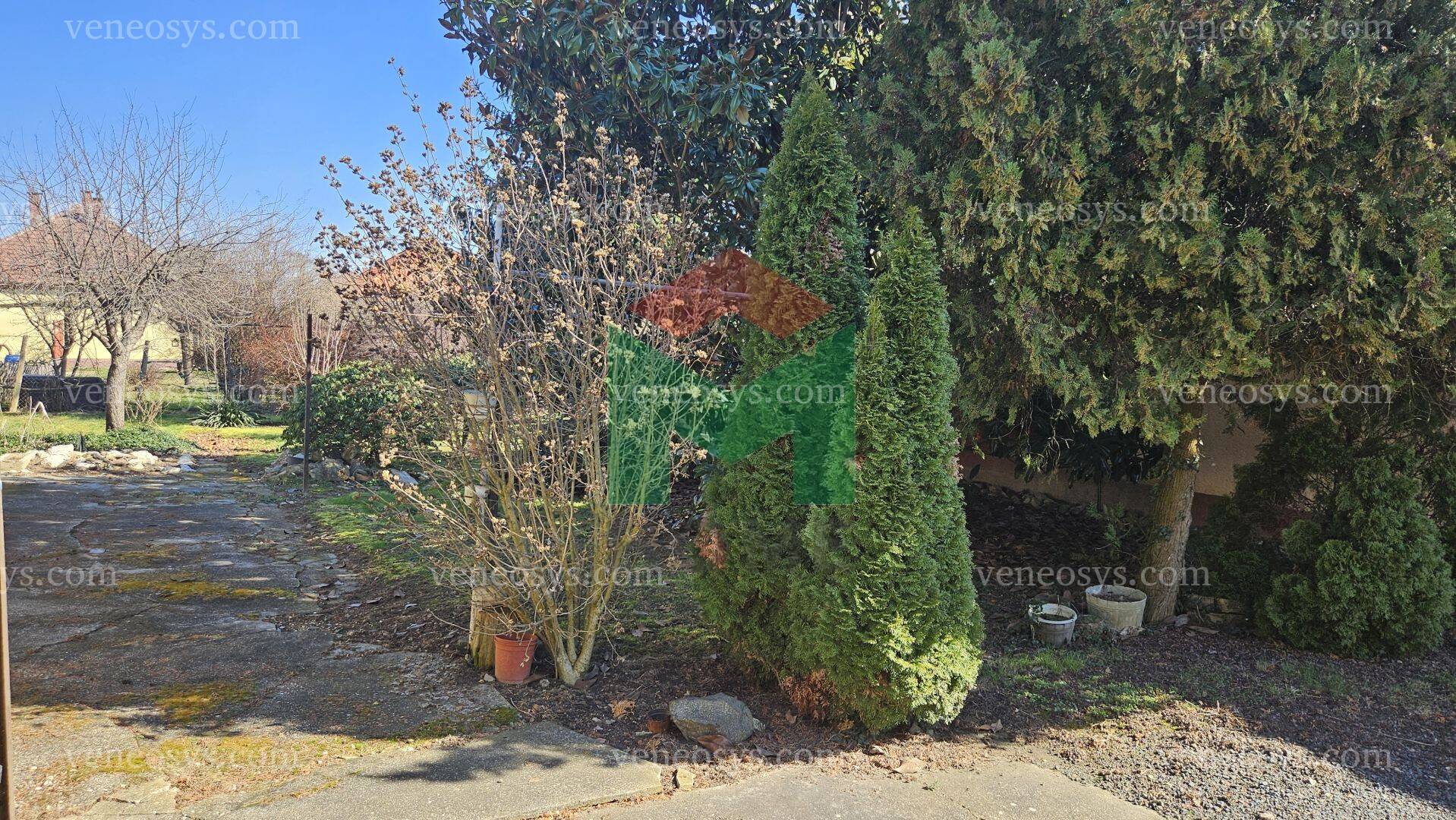 Kép 19