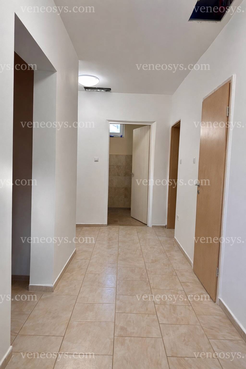 Kép 2