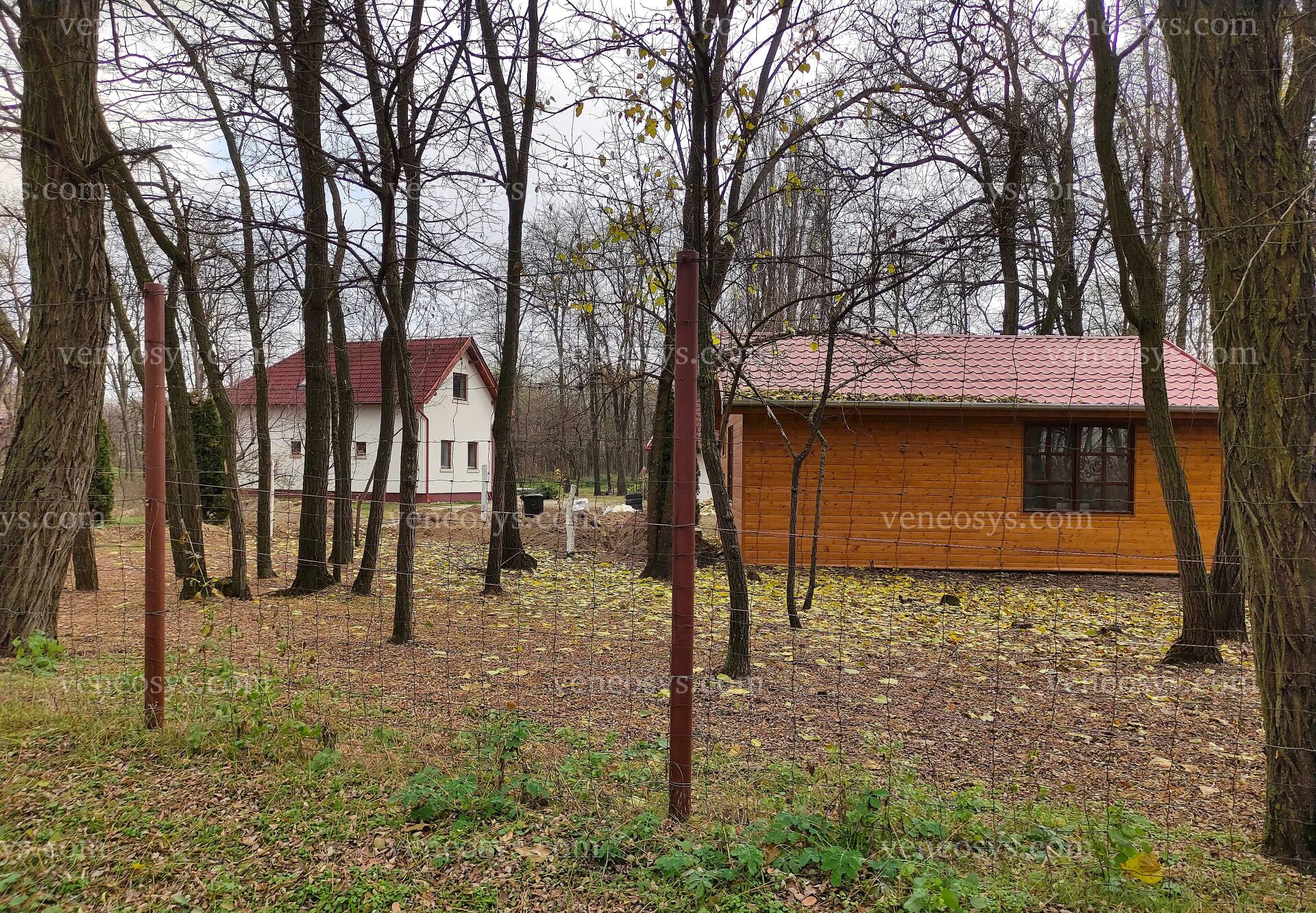 Kép 38