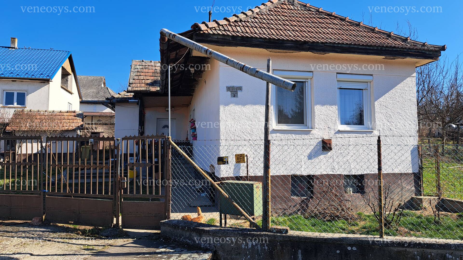 Kép 8