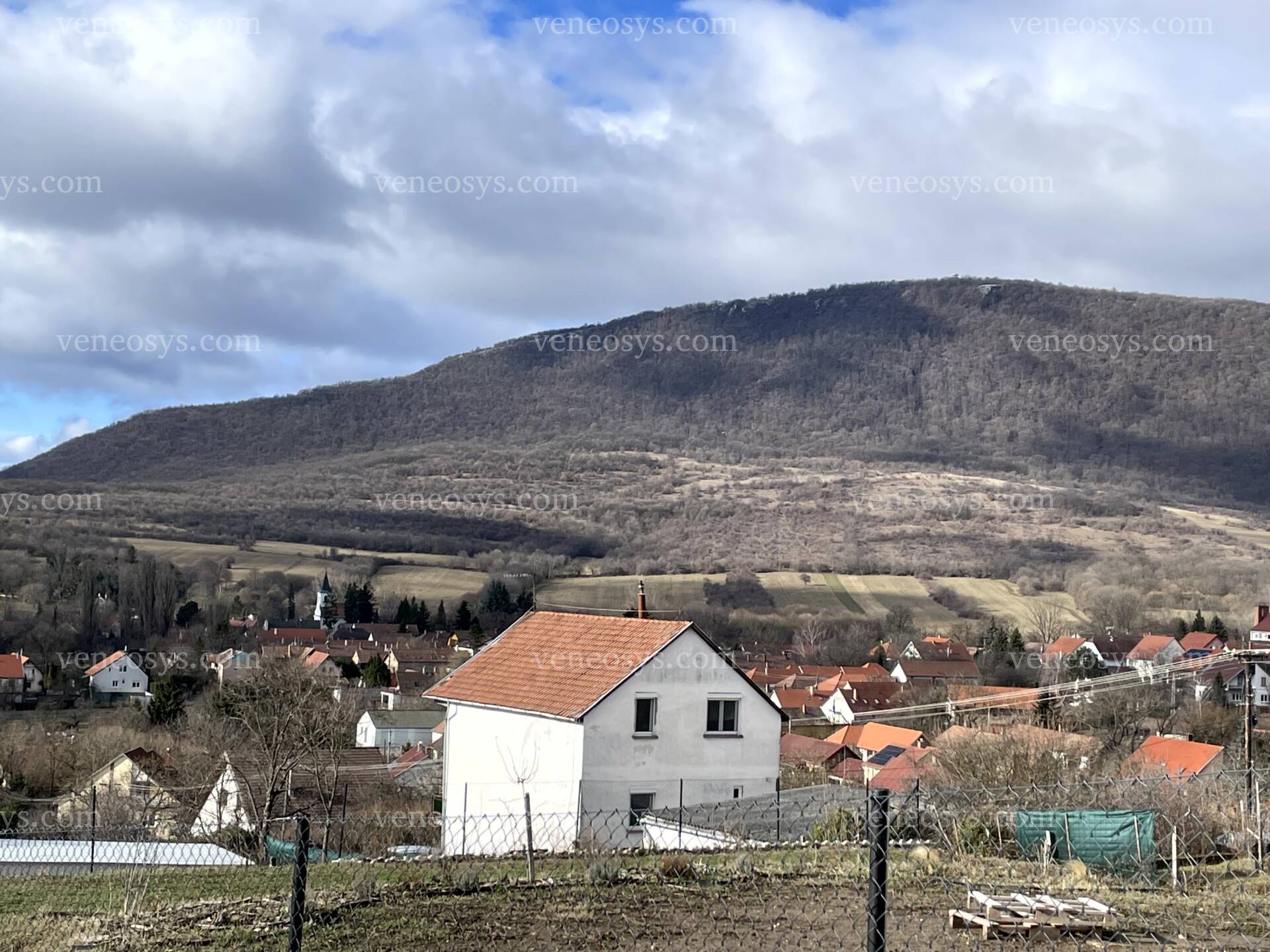 Kép 10