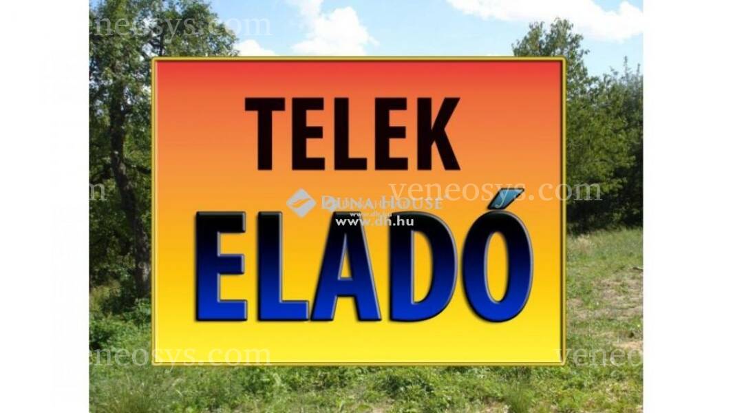 Kép 10