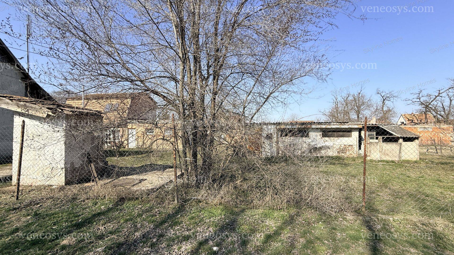 Kép 5