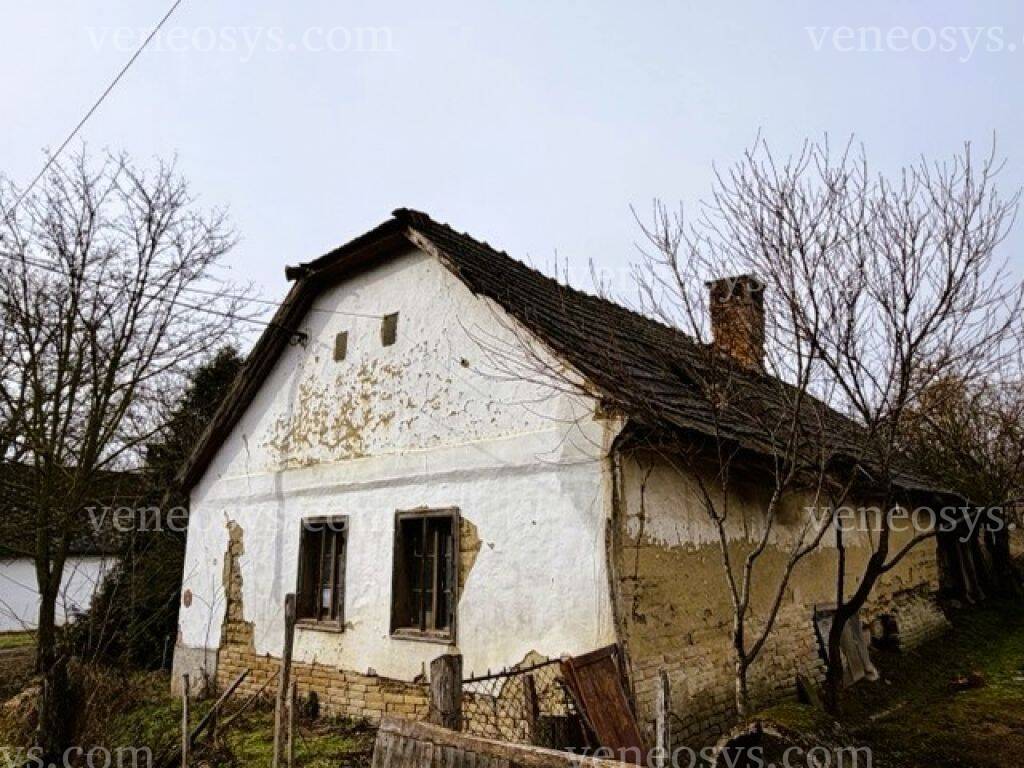 Kép 5