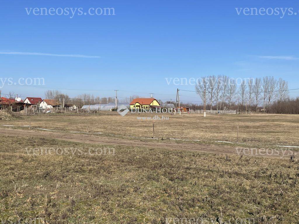 Kép 4