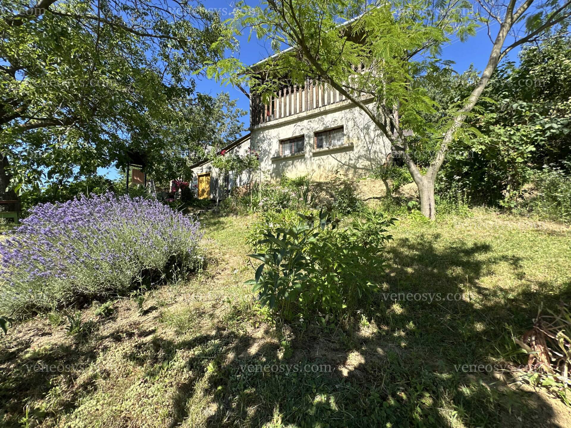 Kép 14