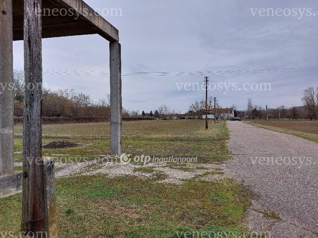 Kép 17