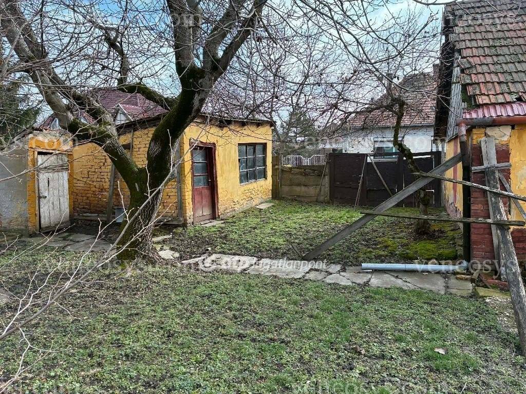 Kép 8