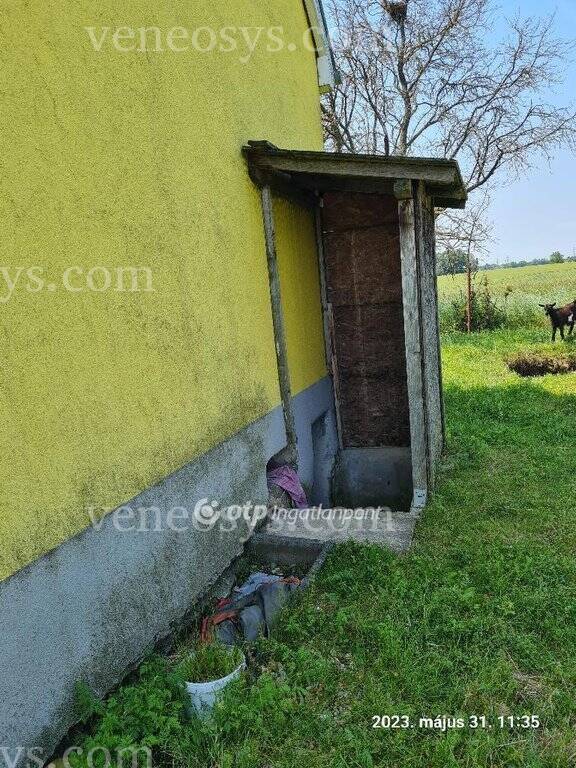 Kép 8