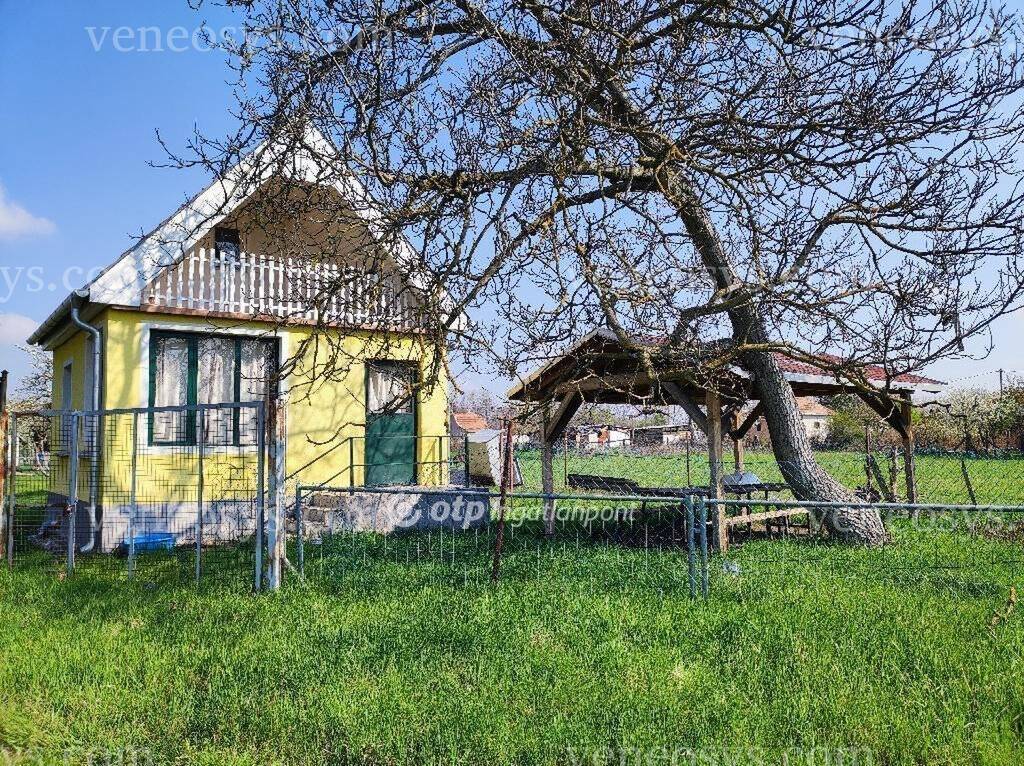 Kép 13