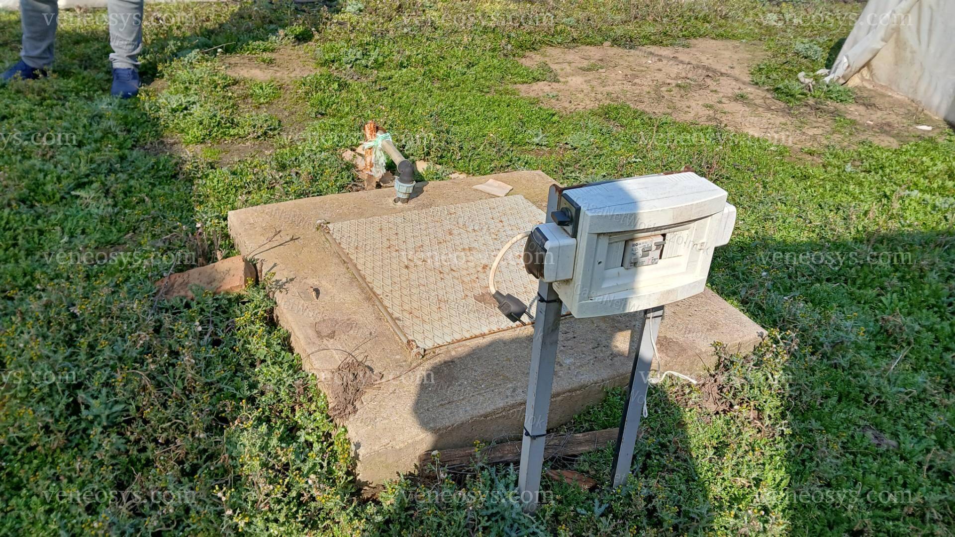 Kép 6