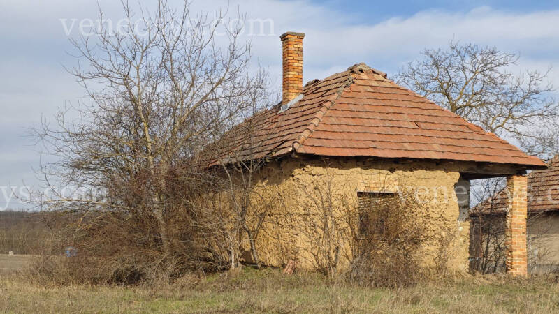 Kép 3