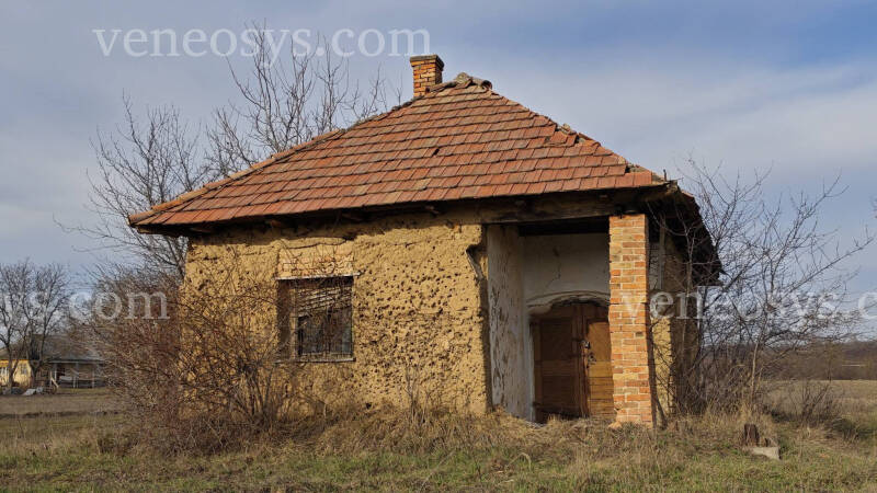 Kép 5
