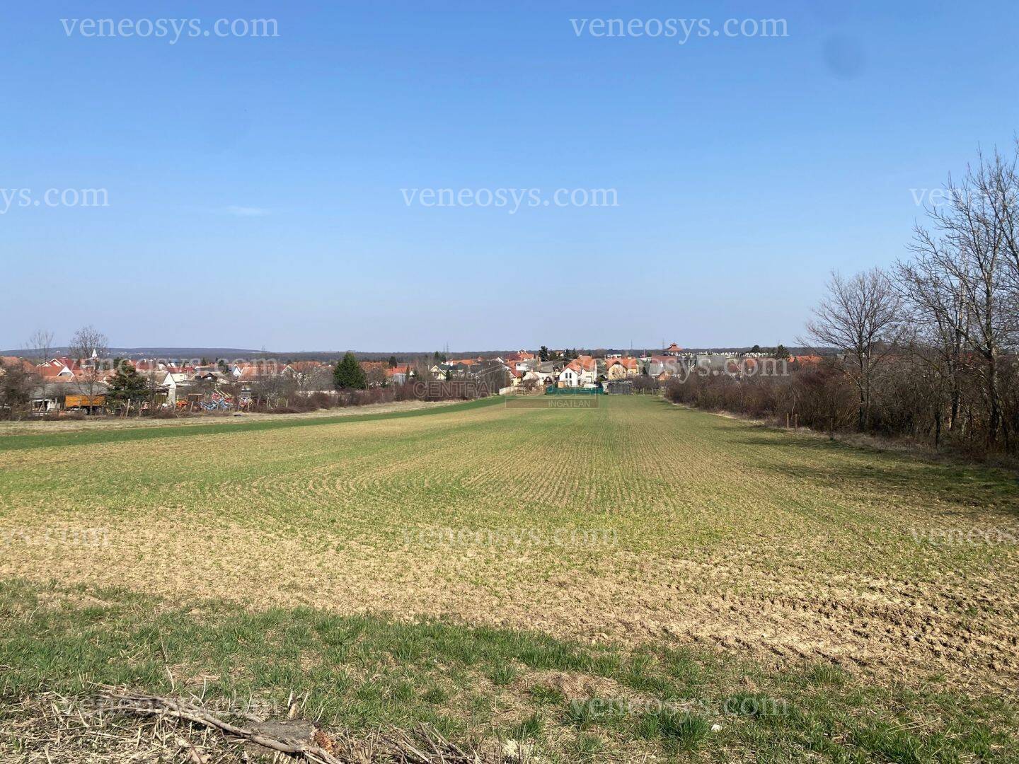 Kópháza