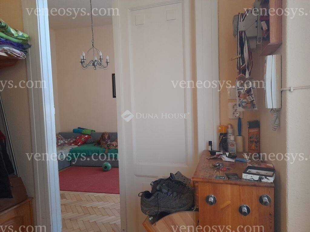 Kép 10