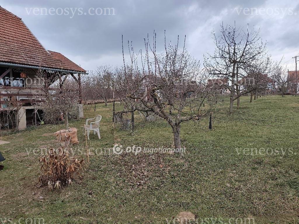 Kép 15