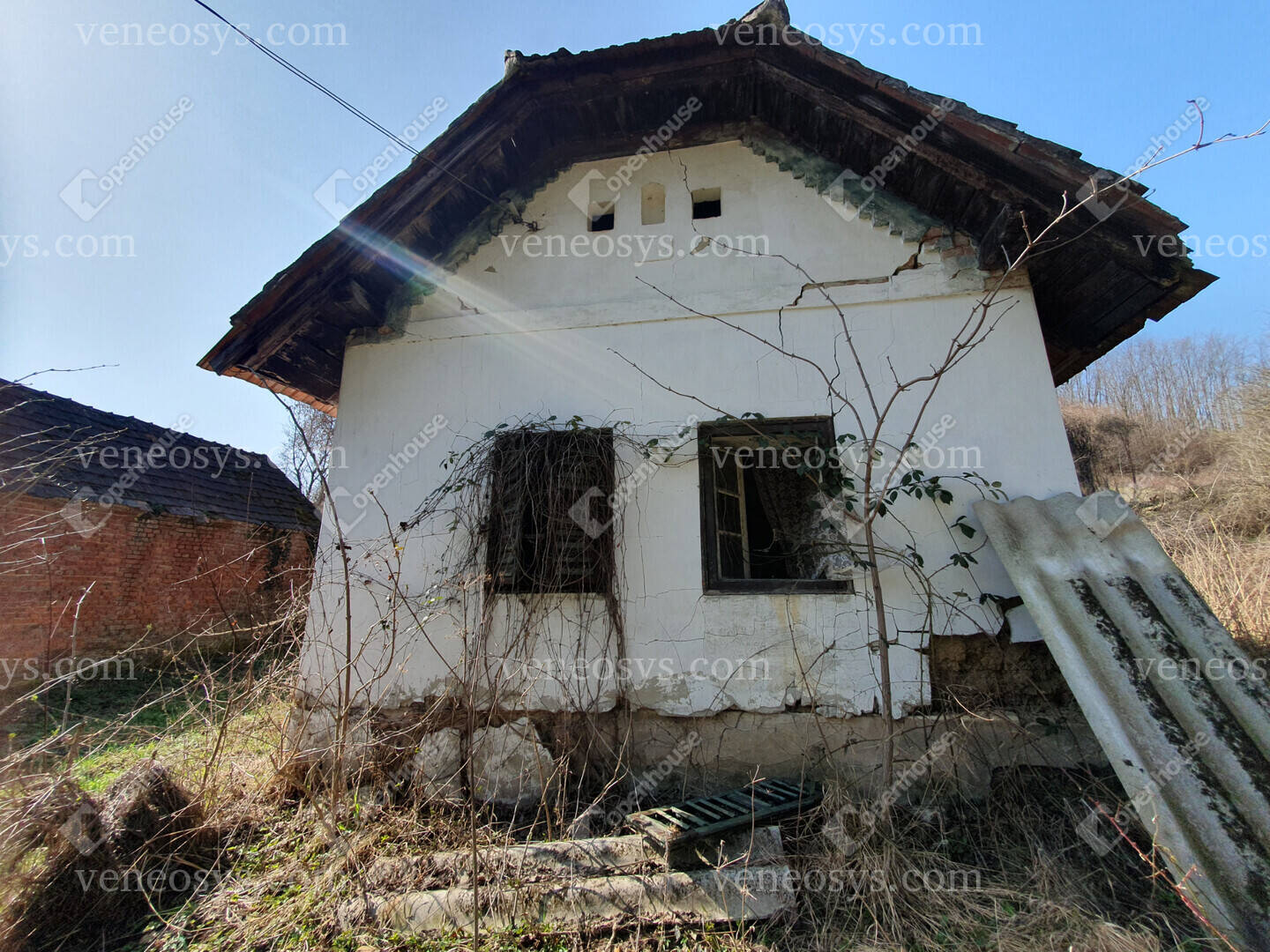 Kép 11