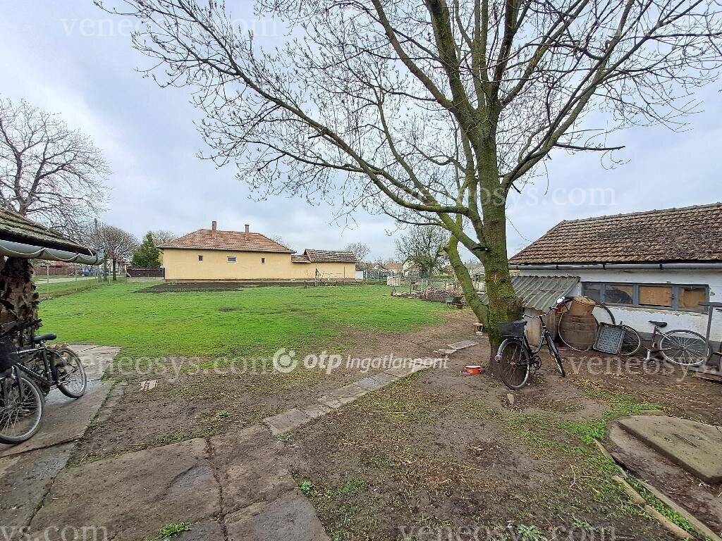Kép 15
