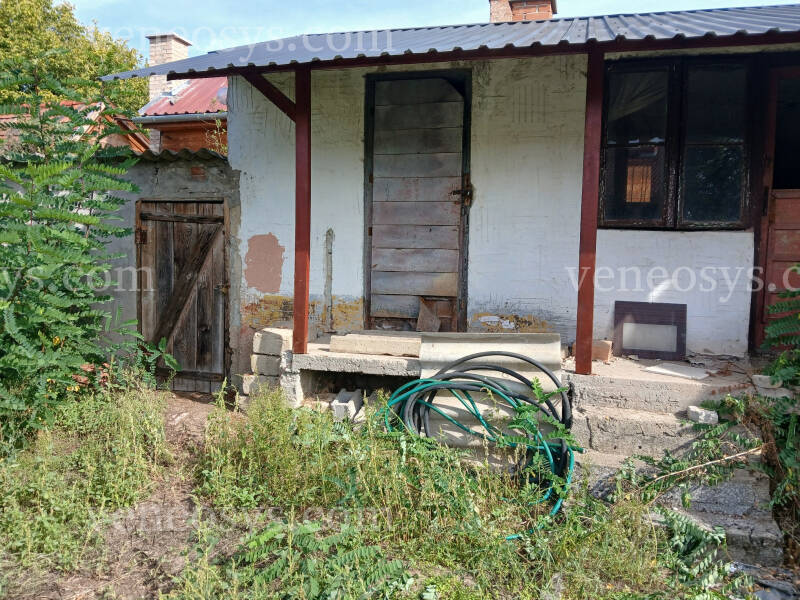 Kép 8