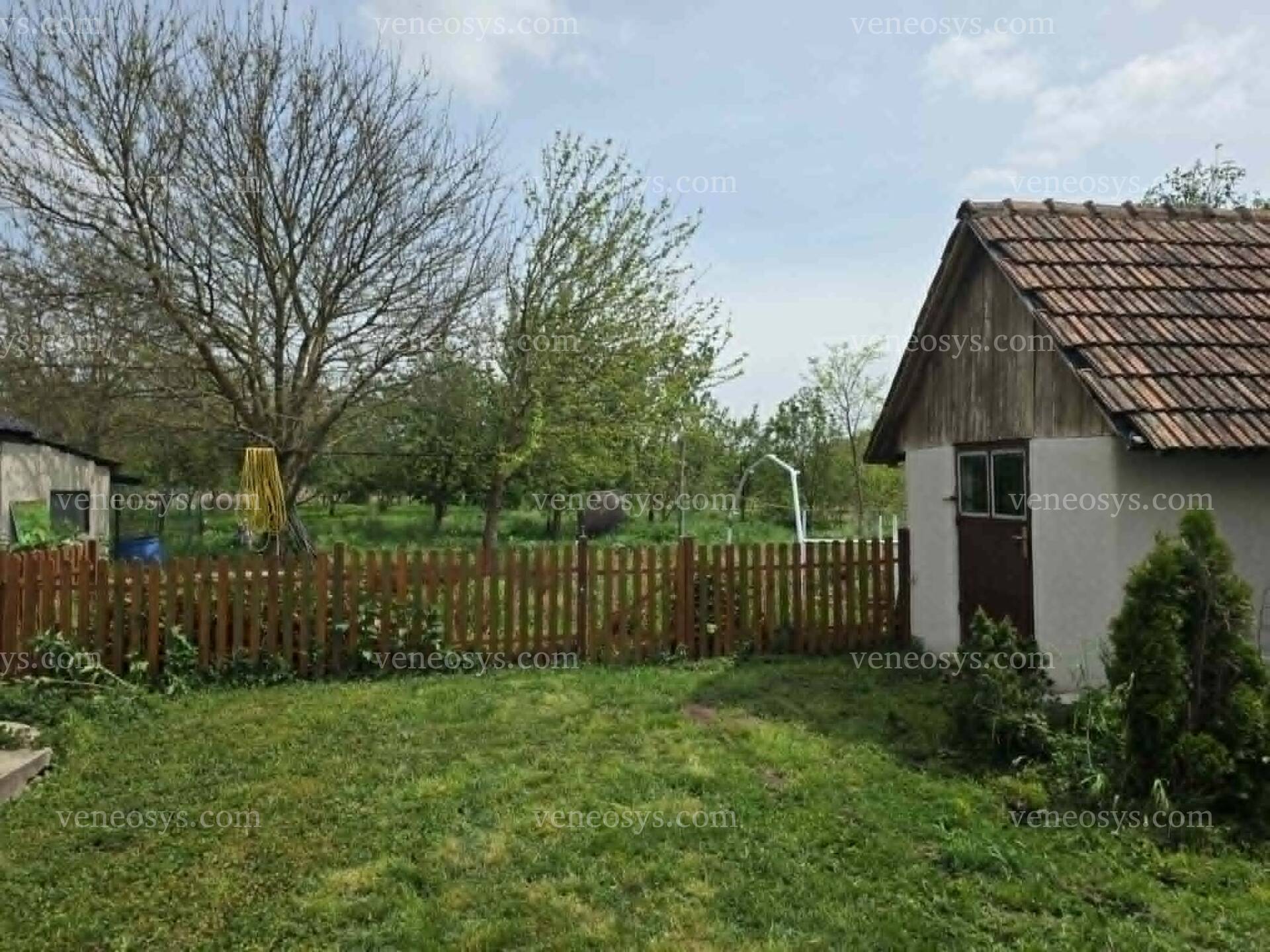Kép 15