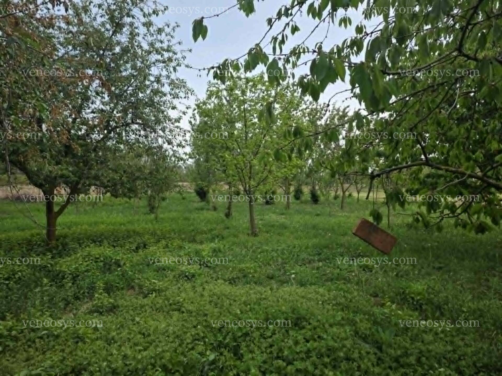 Kép 13