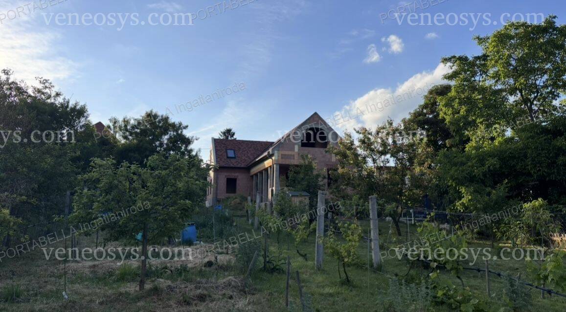 Kép 10