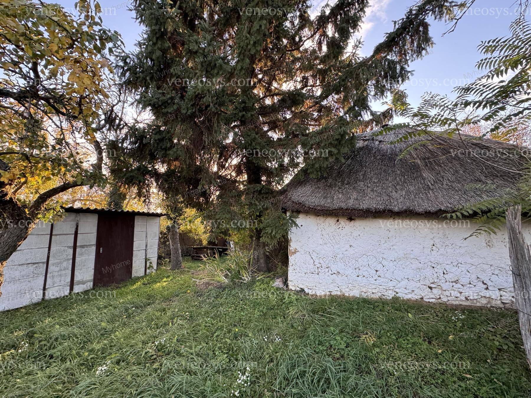 Kép 9