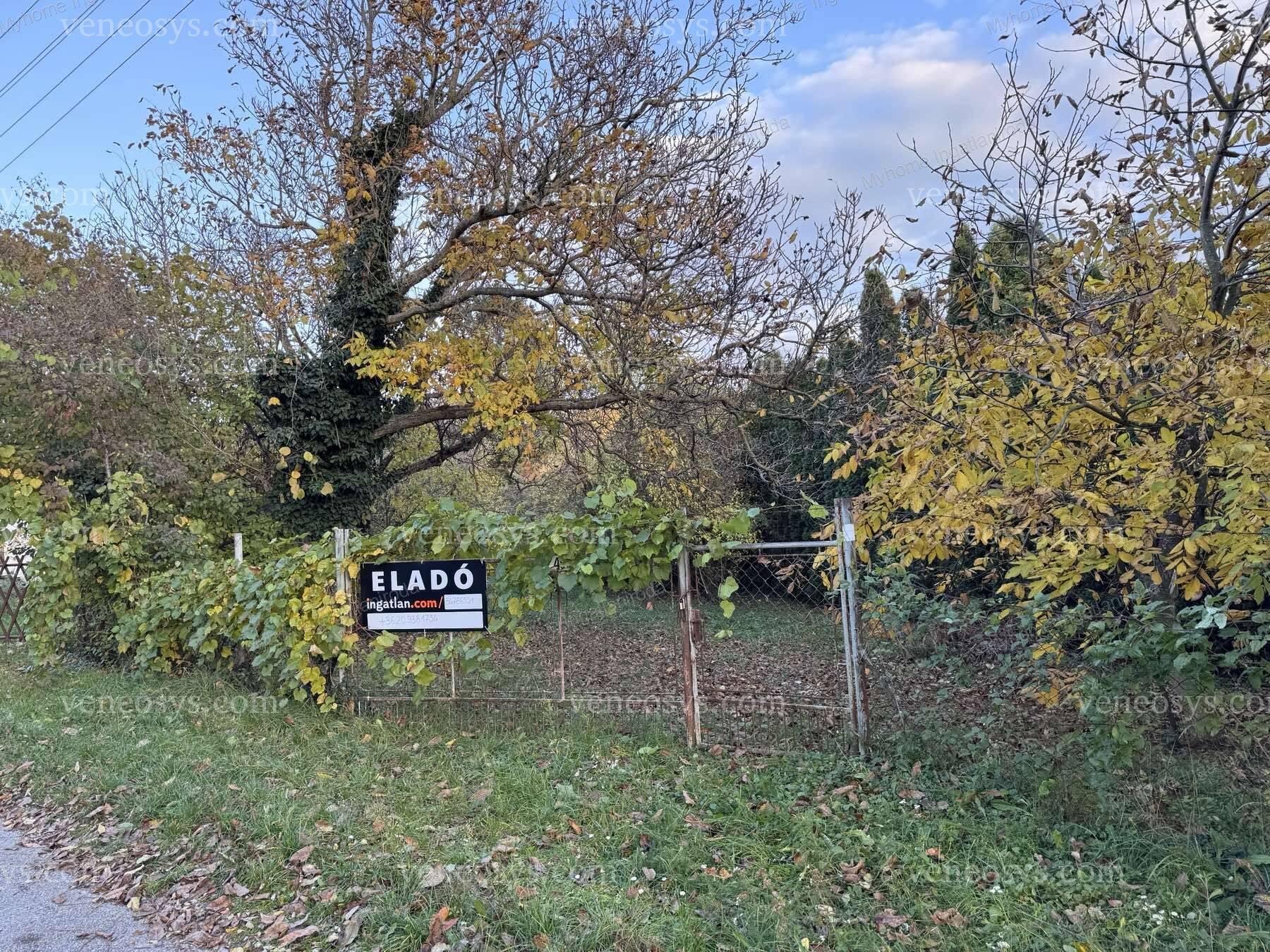Kép 26