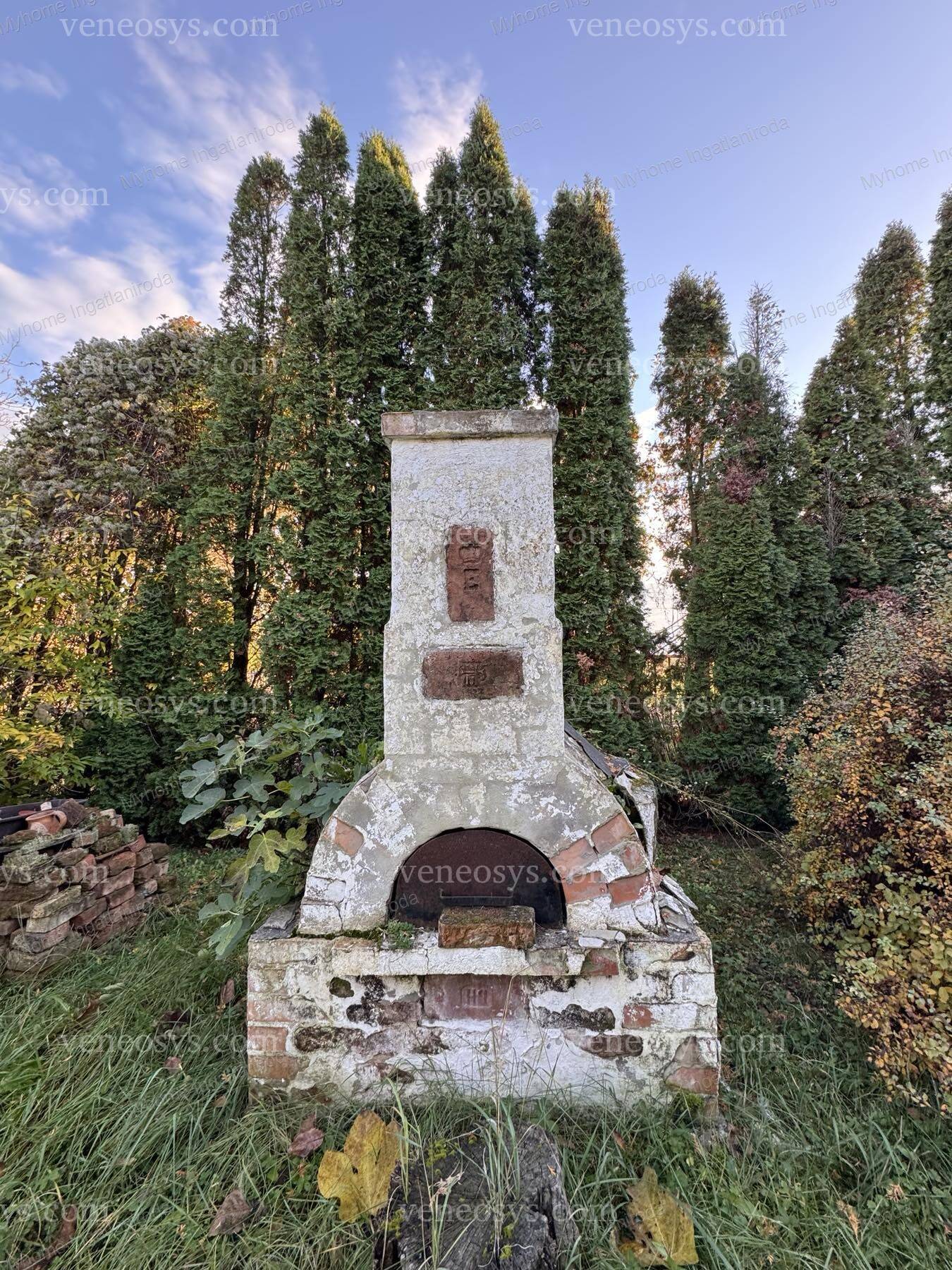 Kép 6