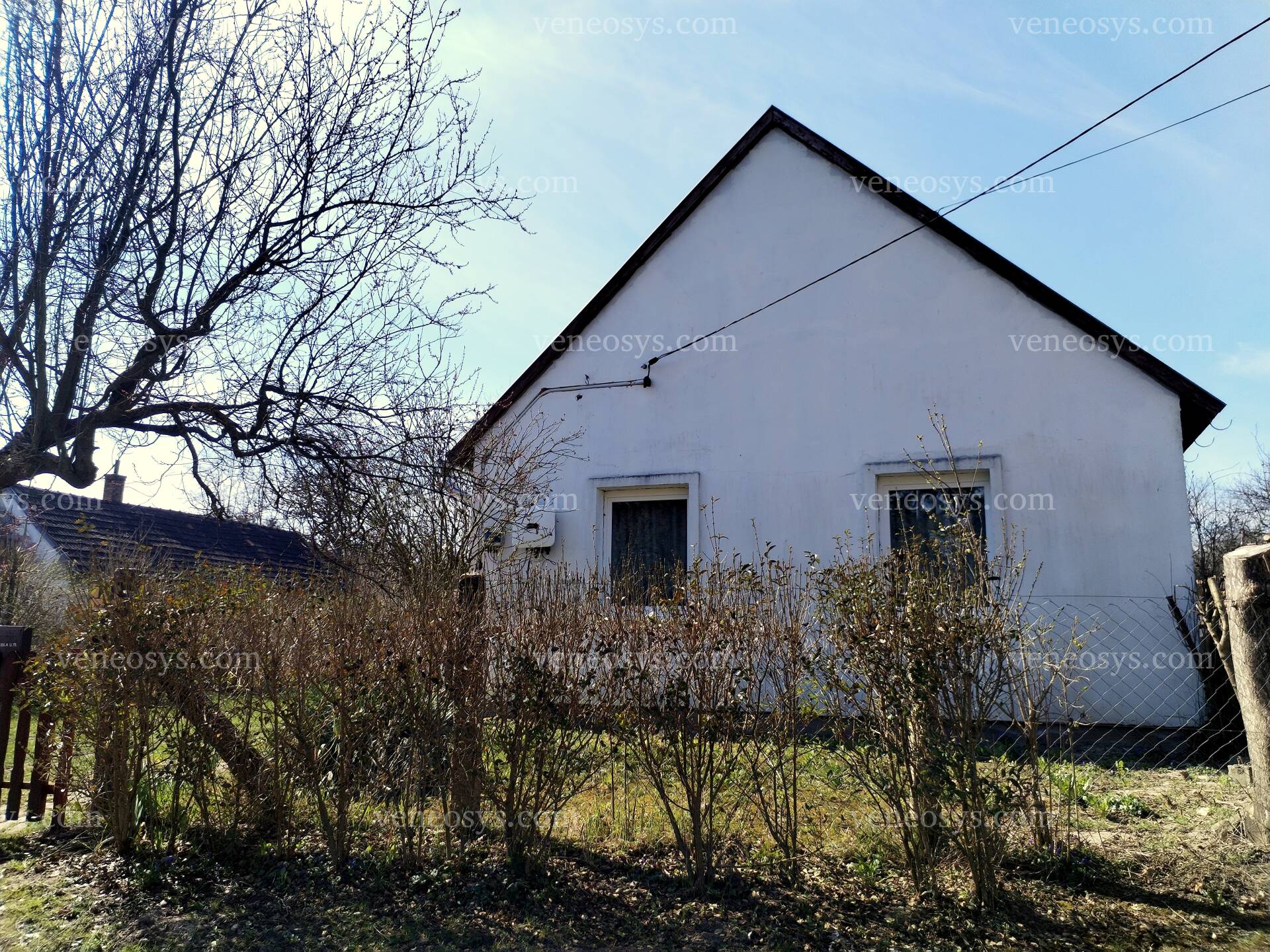Kép 11