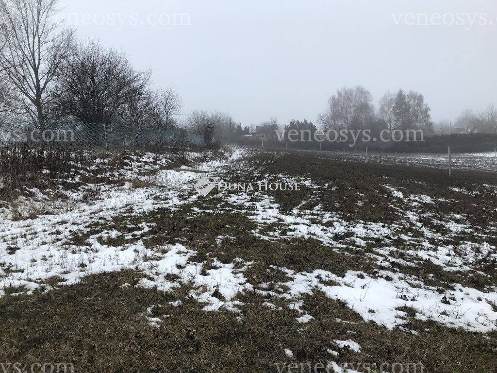 Kép 7