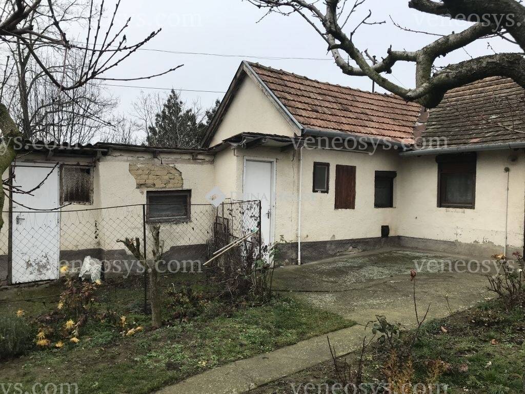 Kép 5