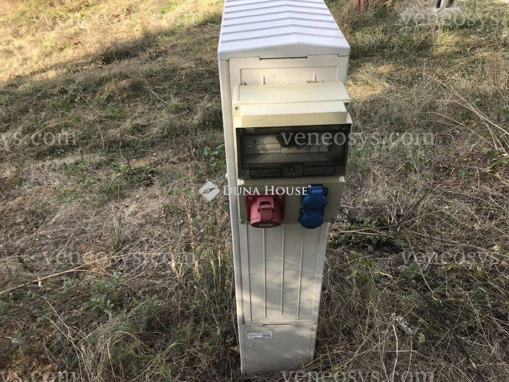 Kép 7