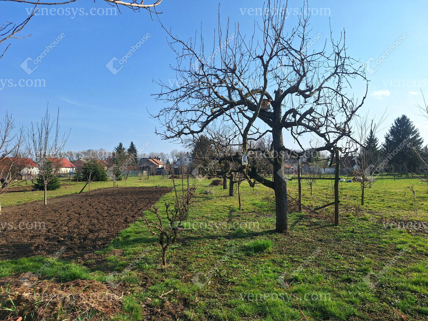 Kép 18