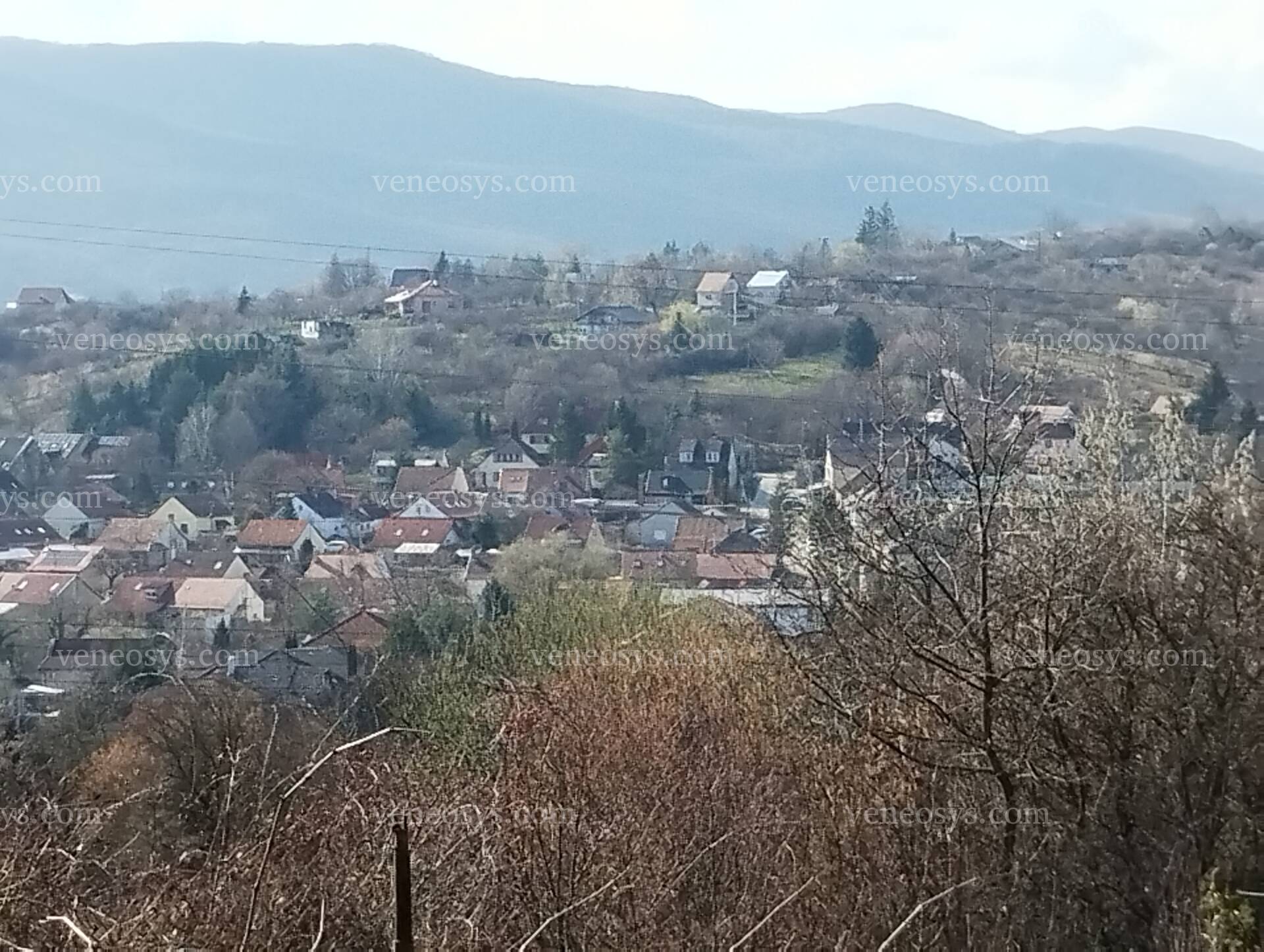 Kép 7
