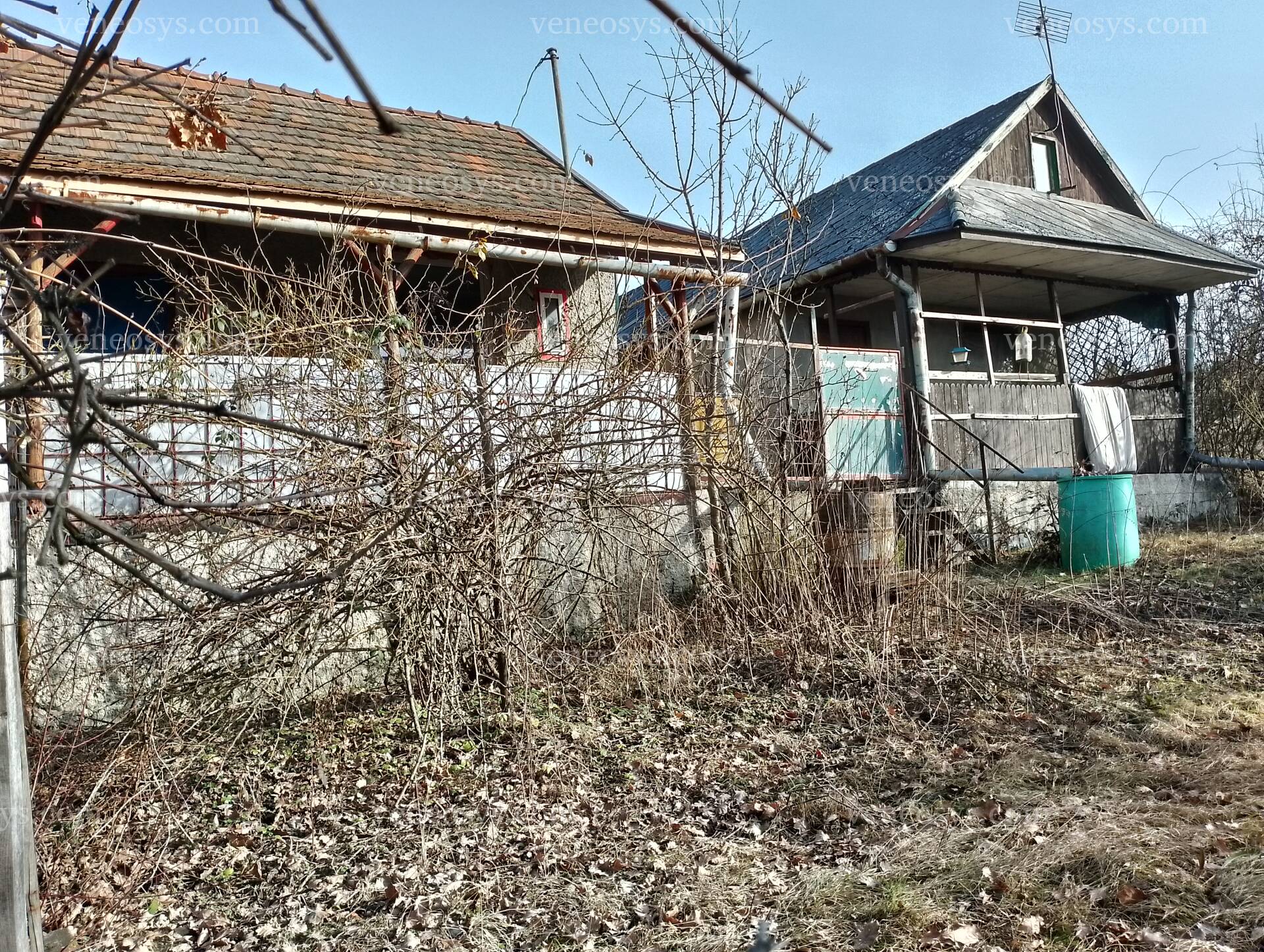 Kép 5