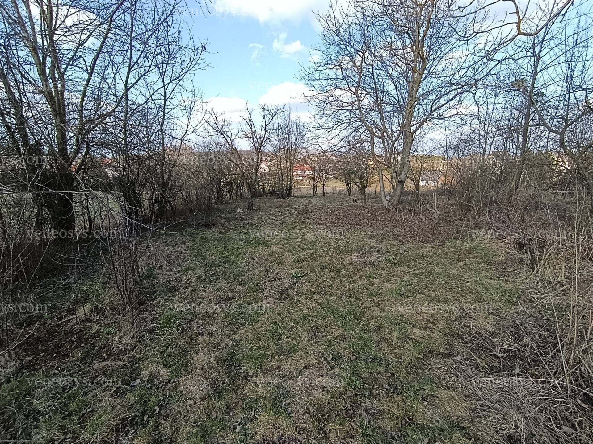 Kép 15
